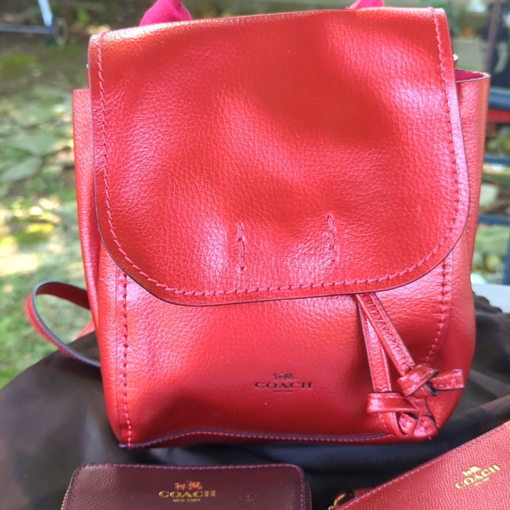 NWoT 🍒COACH🍒 HTF CHERRY RED METALLIC DERBY BACK PACK 🌸 UNLINED LEATHER 🌸 - Picture 2 of 9